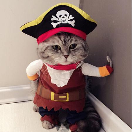 Funny Pirate Suit For Cats Costume