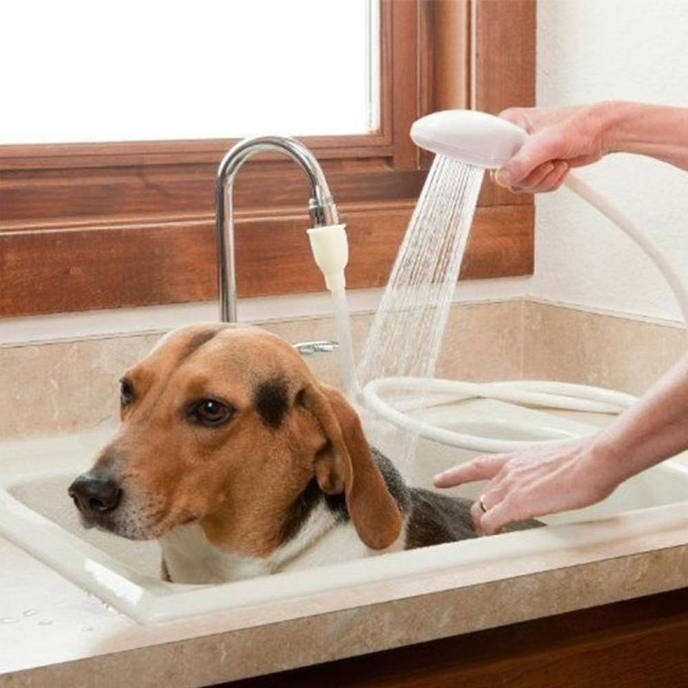 Multi-functional Spray Shower