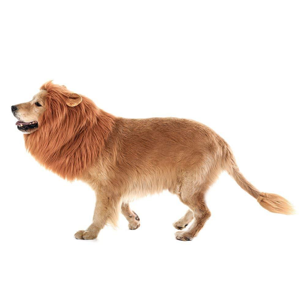 Dog Lion Mane - Realistic & Funny Lion Mane for Dogs - Complementary Lion Mane for Dog Costumes - Lion Wig for Medium to Large Sized Dogs Lion Mane Wig for Dogs - Halloween