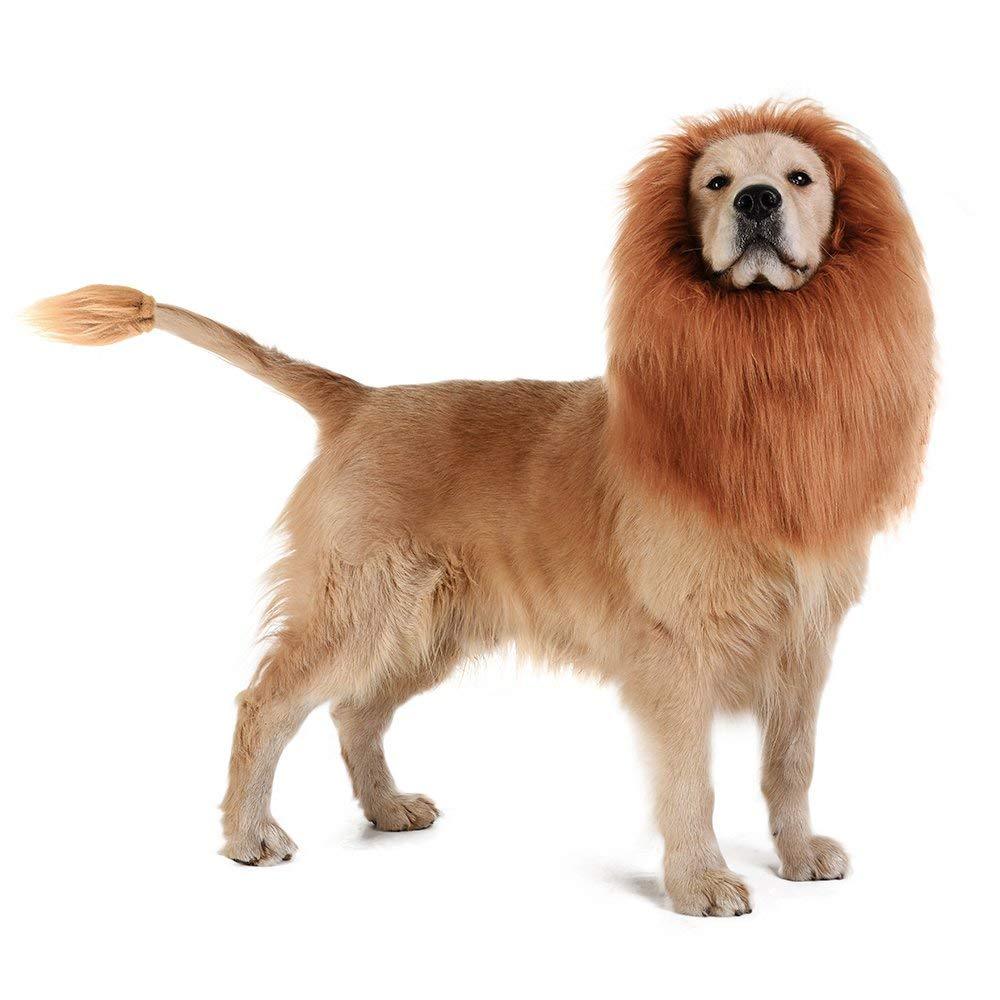 Dog Lion Mane - Realistic & Funny Lion Mane for Dogs - Complementary Lion Mane for Dog Costumes - Lion Wig for Medium to Large Sized Dogs Lion Mane Wig for Dogs - Halloween