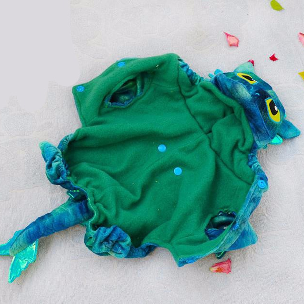 Flying Dragon Outfits For Dogs