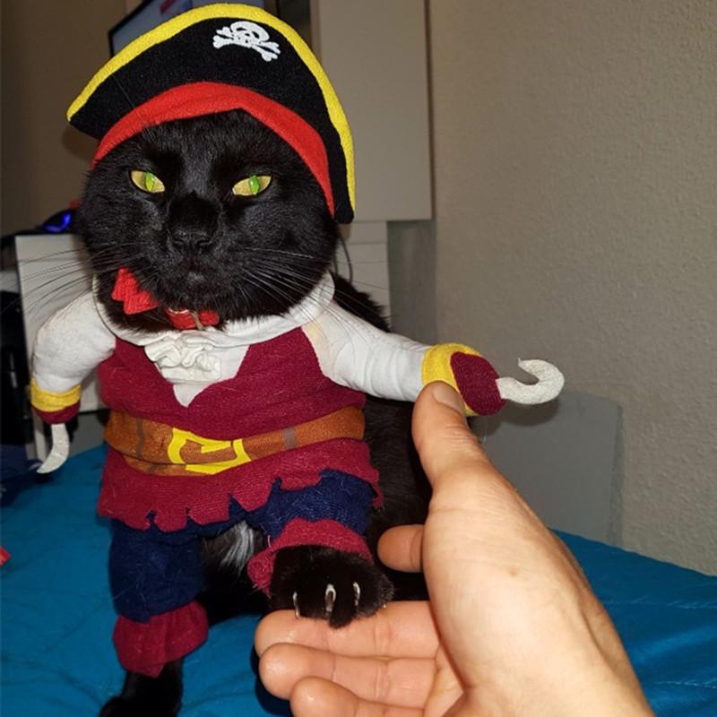 Funny Pirate Suit For Cats Costume