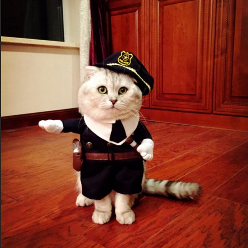 Funny Policeman Cat Jeans Cloth Costume