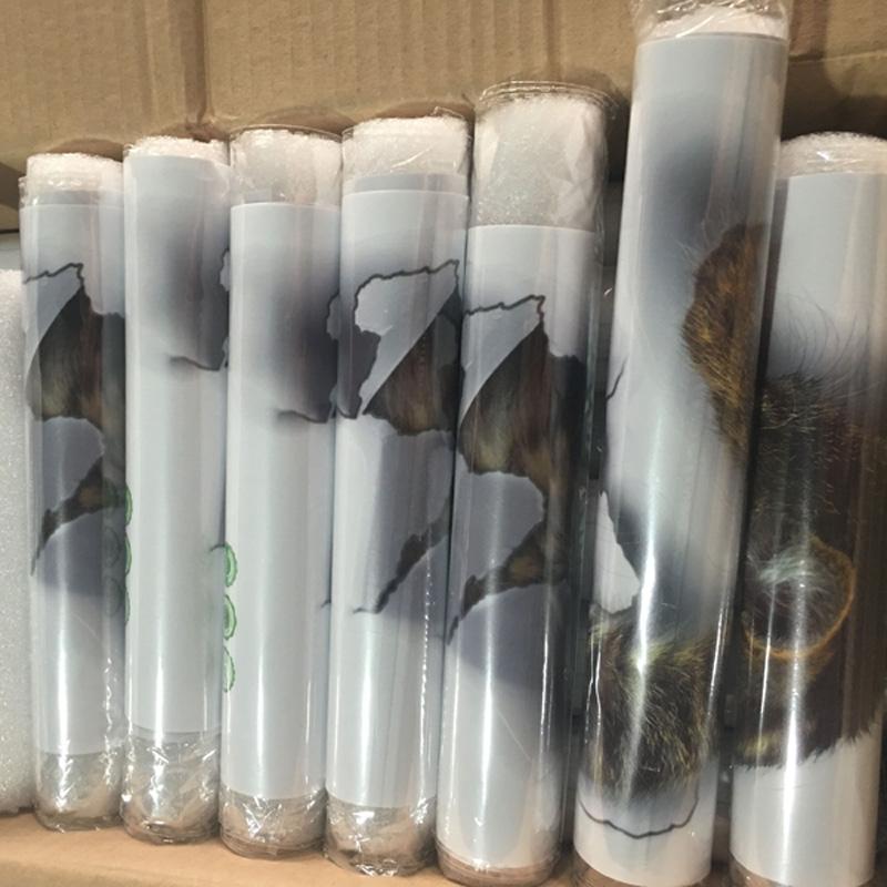 3D Cats Vinyl Wall Stickers