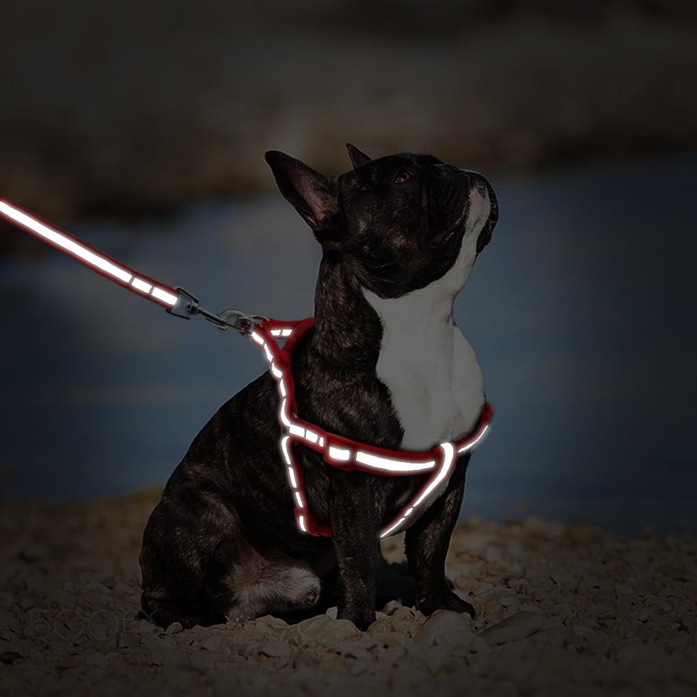 No Pull reflective nylon dog harness leash set