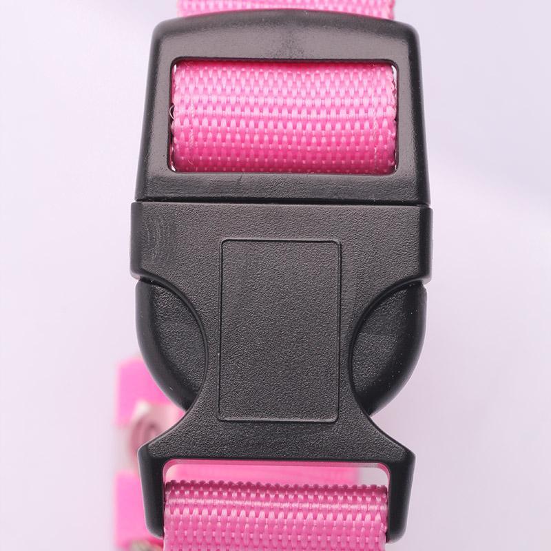 Dog Collar Pet Night Safety Glow In The Dark LED Leash