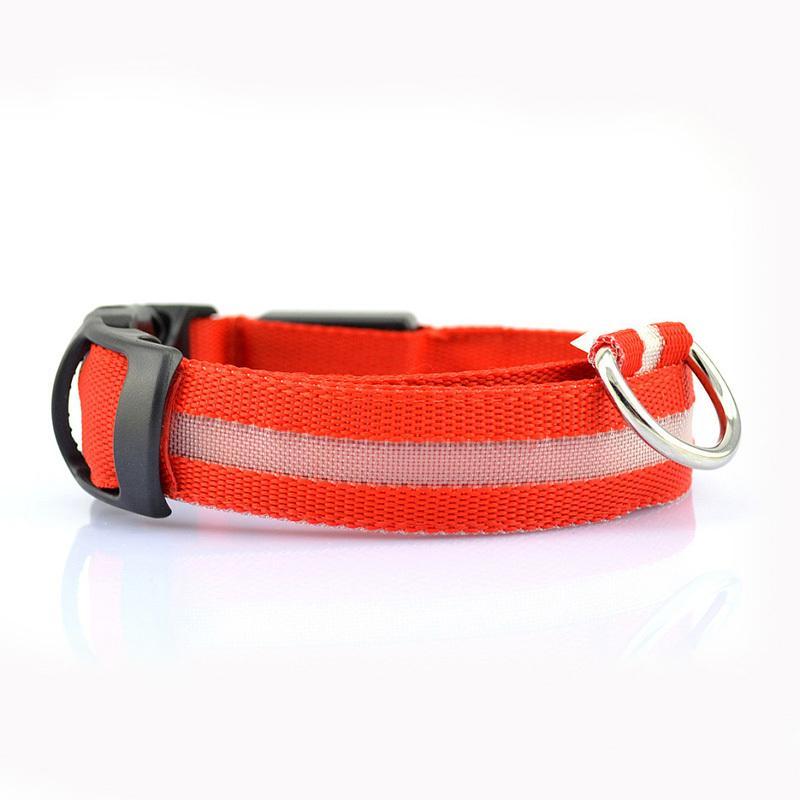 Dog Collar Pet Night Safety Glow In The Dark LED Leash