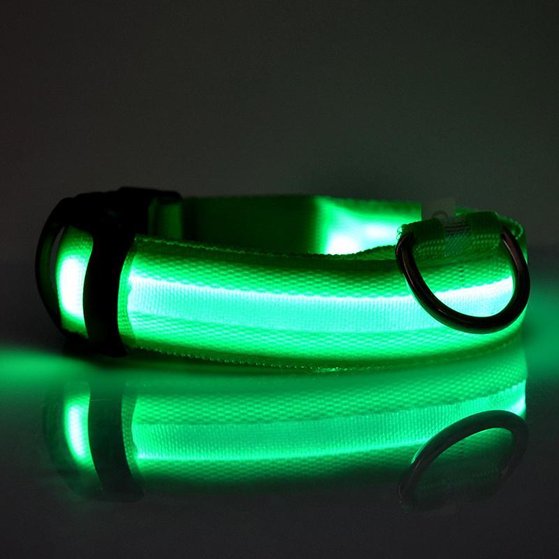 Dog Collar Pet Night Safety Glow In The Dark LED Leash