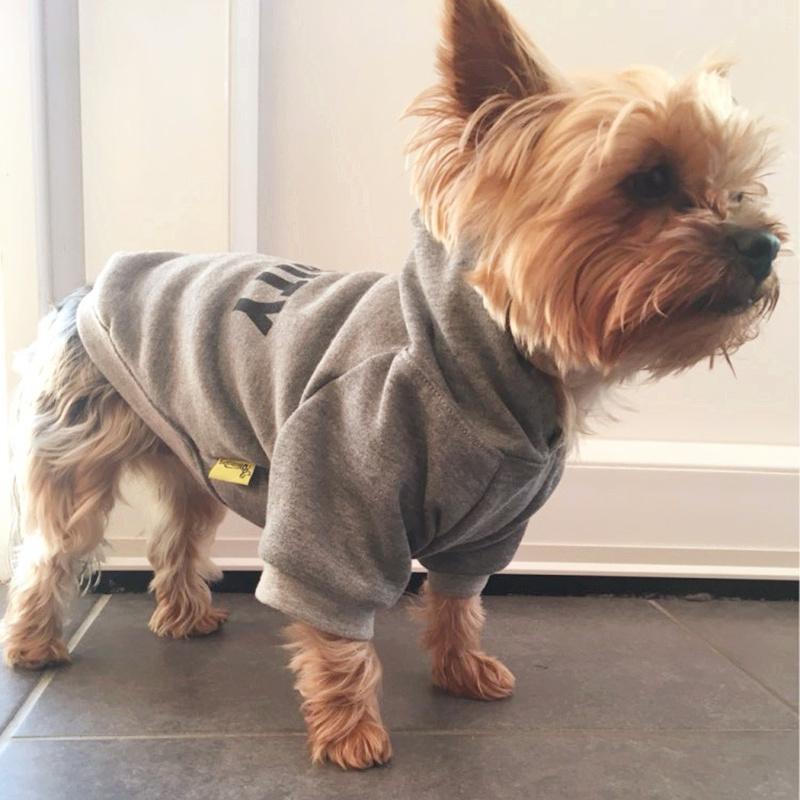 Funny Security Pet Dog Hoodies