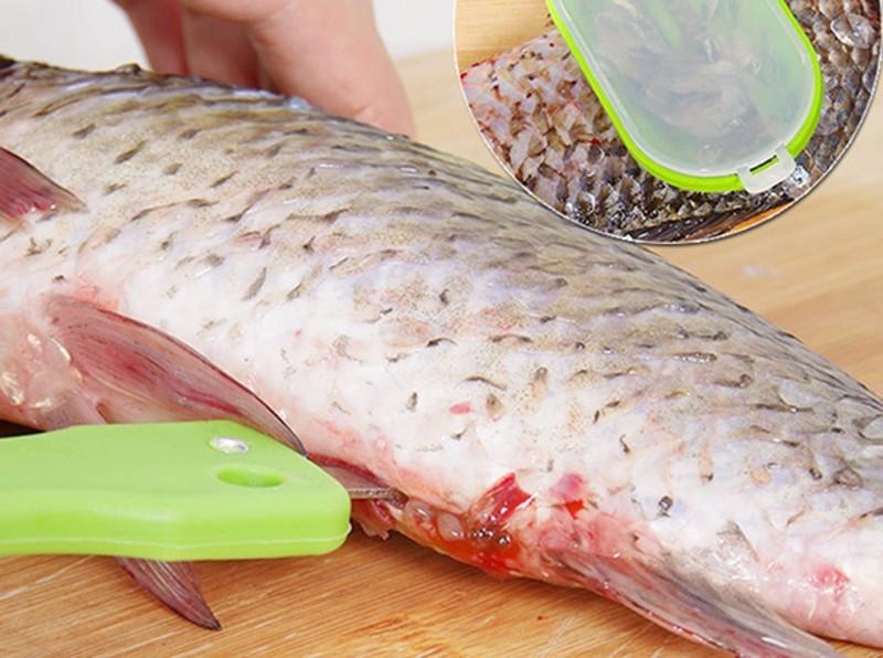 Multipurpose Scale Kill Fish with Knife Kitchen Tool