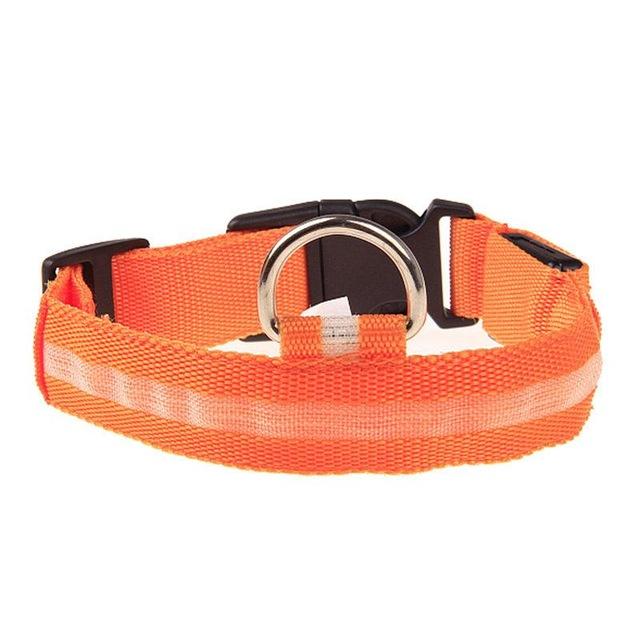 Dog Collar Pet Night Safety Glow In The Dark LED Leash