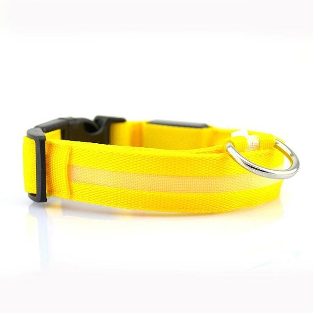 Dog Collar Pet Night Safety Glow In The Dark LED Leash