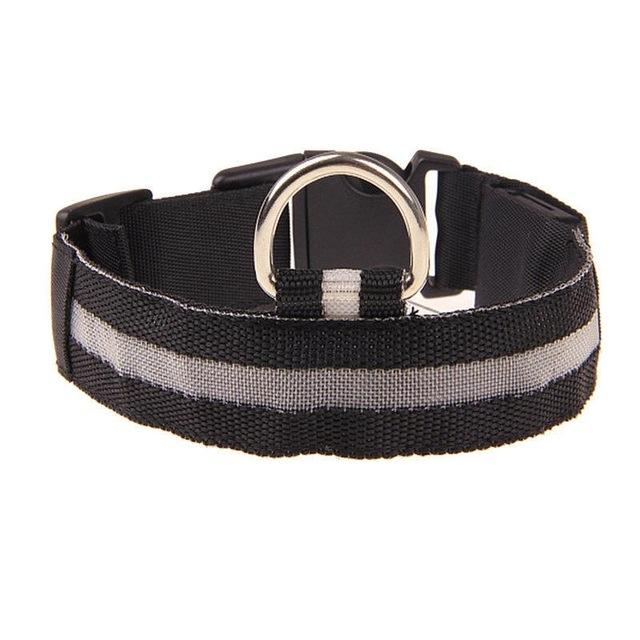 Dog Collar Pet Night Safety Glow In The Dark LED Leash