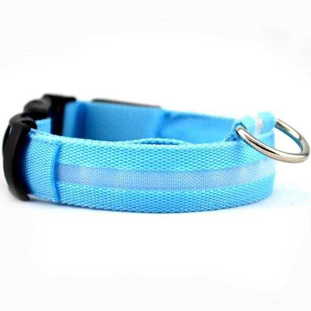Dog Collar Pet Night Safety Glow In The Dark LED Leash