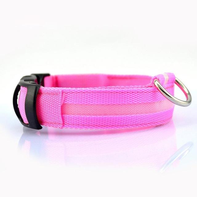 Dog Collar Pet Night Safety Glow In The Dark LED Leash