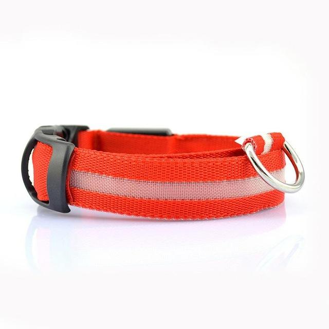 Dog Collar Pet Night Safety Glow In The Dark LED Leash