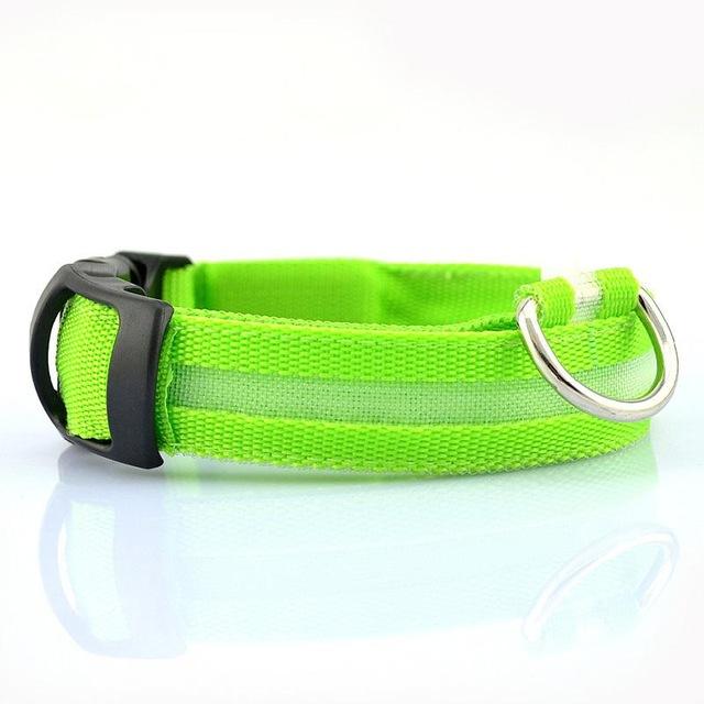 Dog Collar Pet Night Safety Glow In The Dark LED Leash