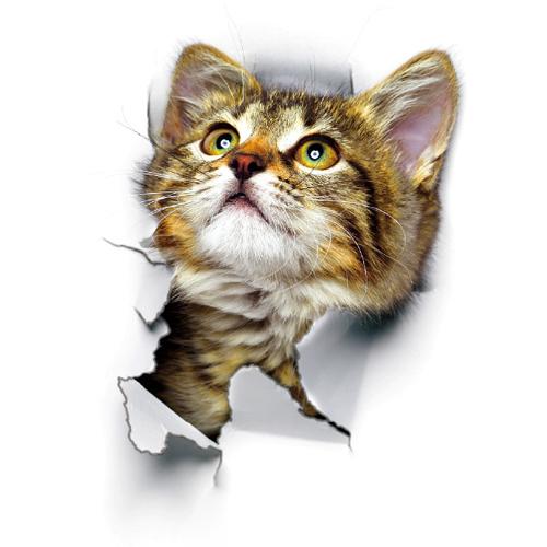 3D Cats Vinyl Wall Stickers