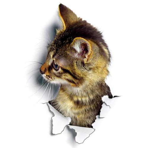 3D Cats Vinyl Wall Stickers
